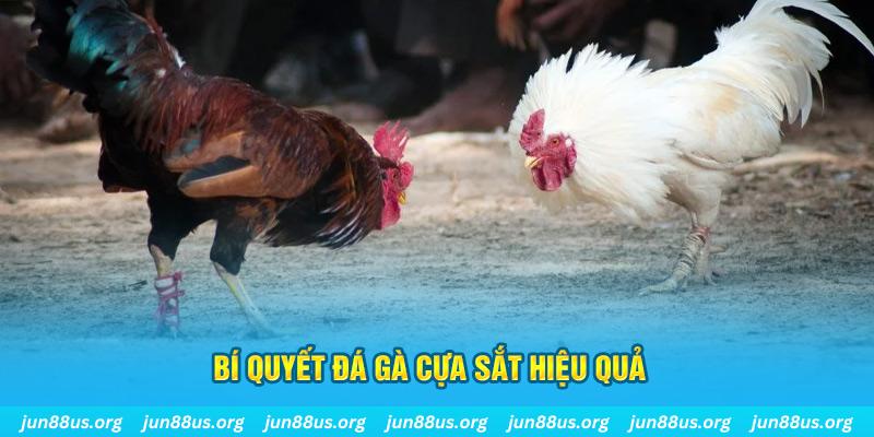 f8 bet nổ hũ may mắn