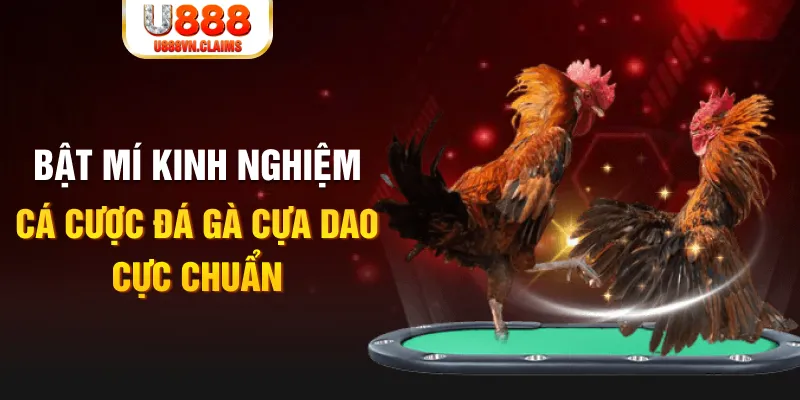 f8 bet casino hồ tràm có cho người việt vào không