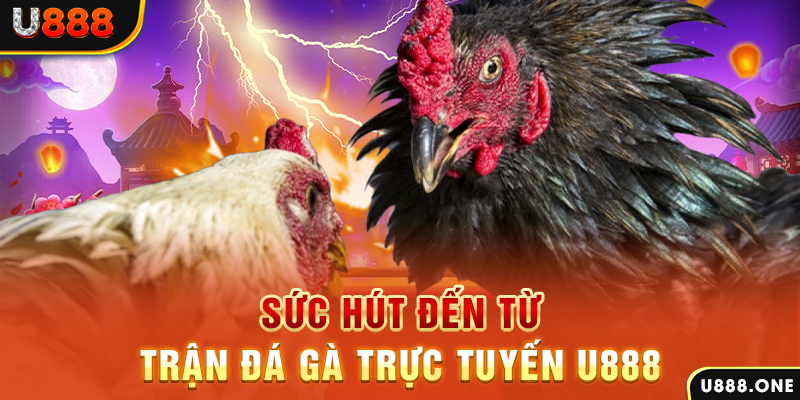 f8 bet đăng nhập poker 2024
