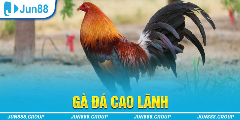 f8 bet tai game vua bai ve may tinh