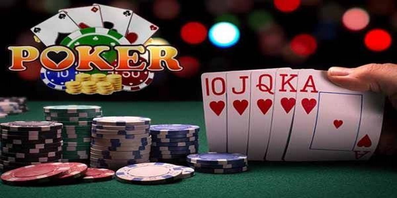 f8 bet đăng nhập roulette dễ thắng