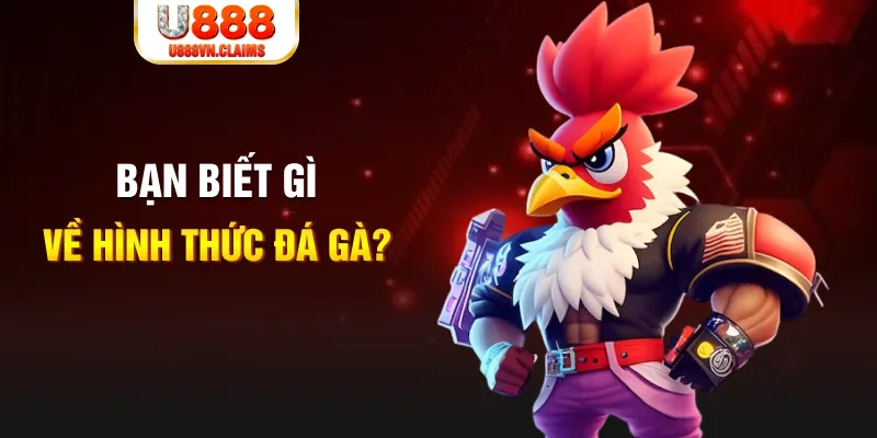 f8 bet đăng nhập liêng tặng tiền