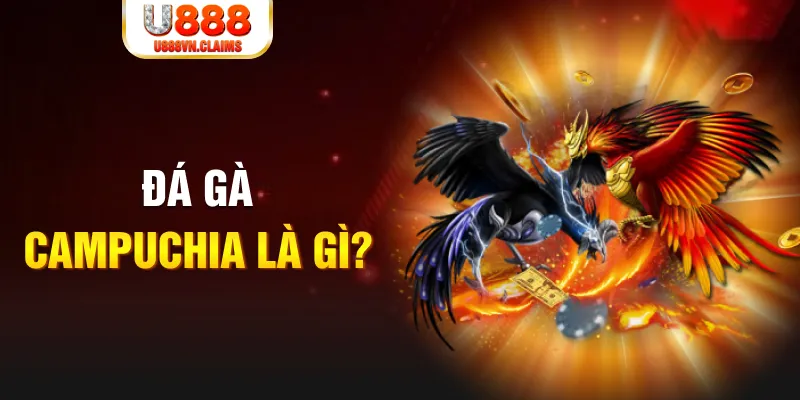 f8 bet what is the best online casino for real money