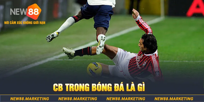 f8 bet DG Trực Tuyến
