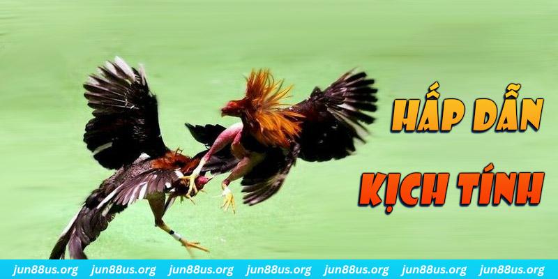 f8 bet xổ số miền nam thứ sáu