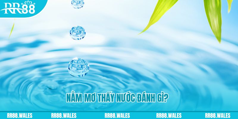 f8 bet xổ số trực tiếp miền bắc