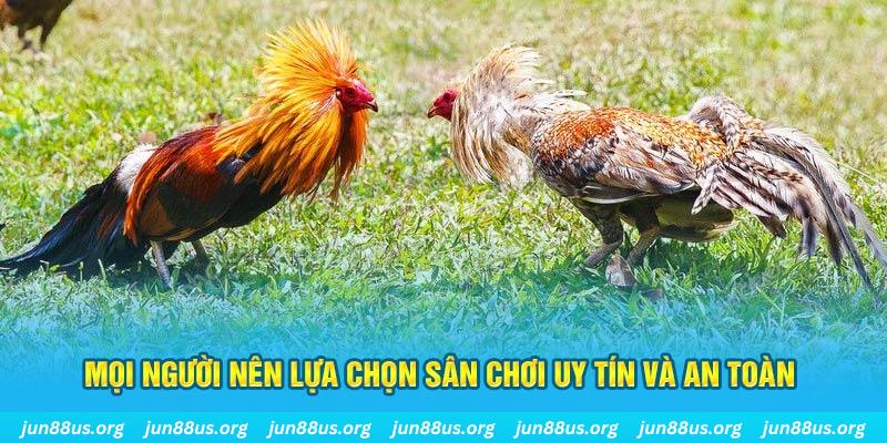 f8 bet đăng nhập poker 2025