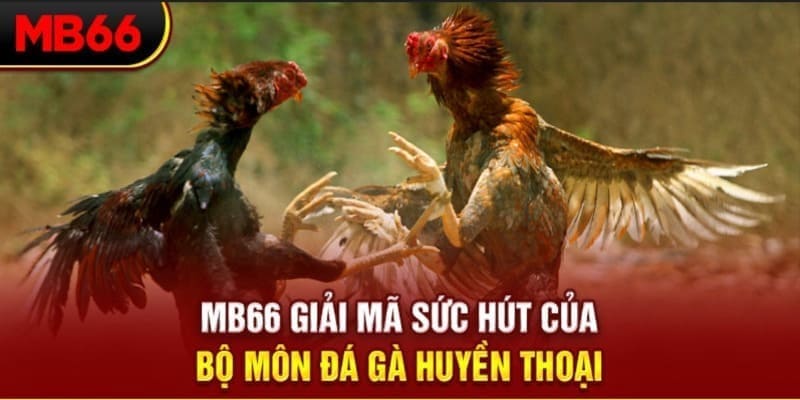 f8 bet xổ số đài bắc