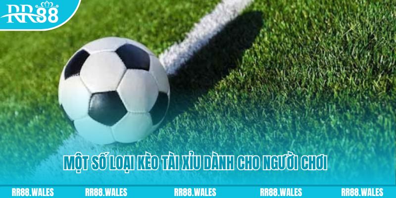 f8 bet slot nghĩa là gì