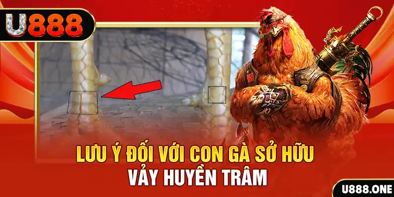 f8 bet tải game đánh bài tiến lên miền nam về máy tính