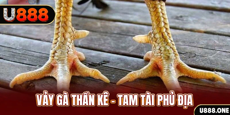 f8 bet so xo mien trung