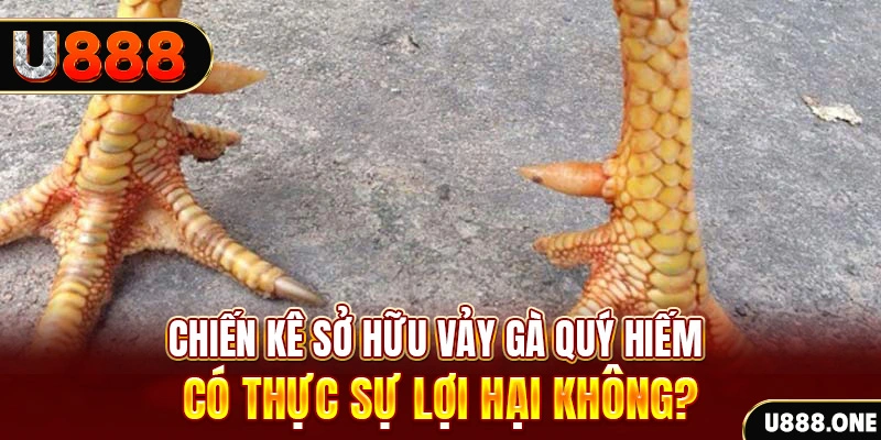 f8 bet xổ số miền trung