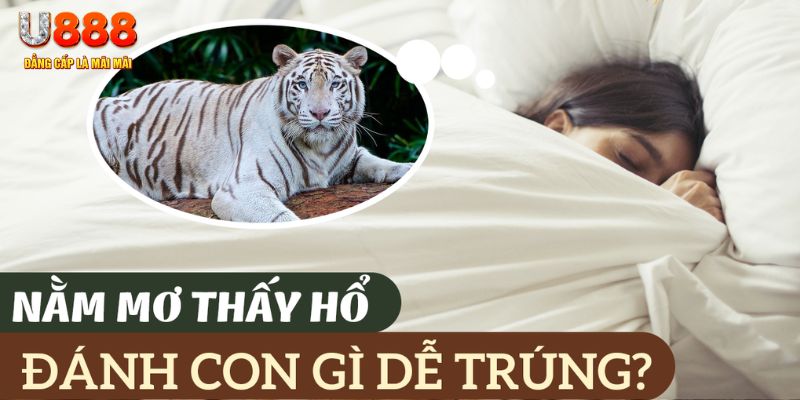 f8 bet nohu .mx nổ hủ là gì