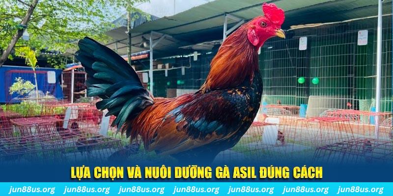 f8 bet nổ hũ thần tài là gì