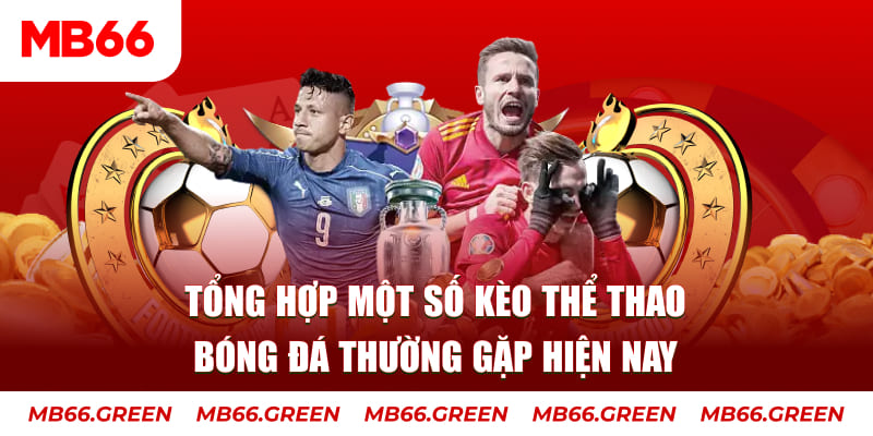 f8 bet TP Xổ Số