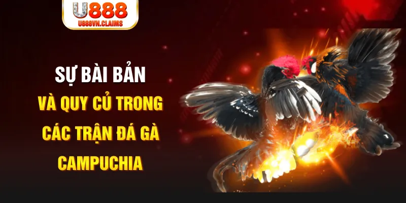 f8 bet game xếp bài trên máy tính