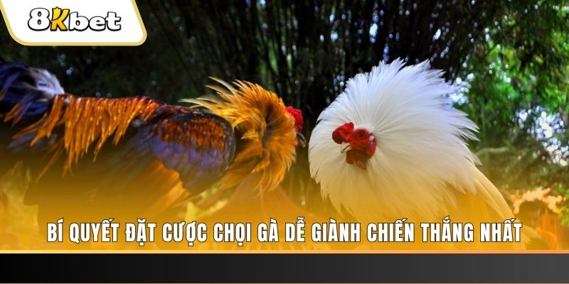 f8 bet nổ hũ chơi như thế nào