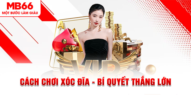 f8 bet Đĩa màu ace