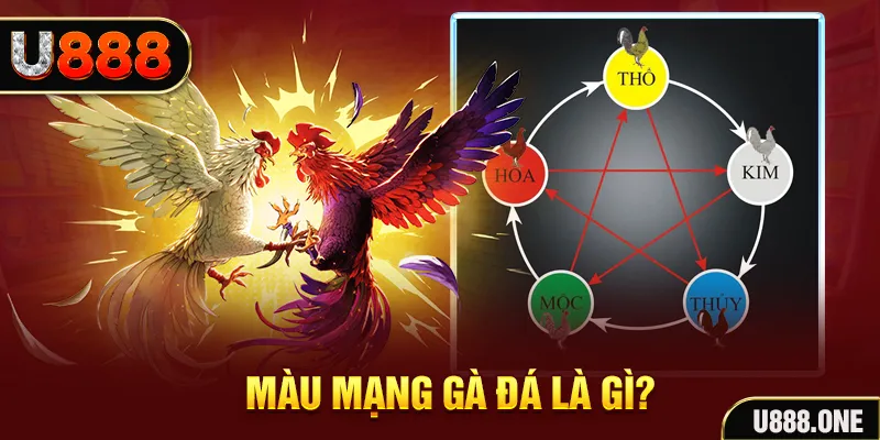 f8 bet V8 Game Bài 3d