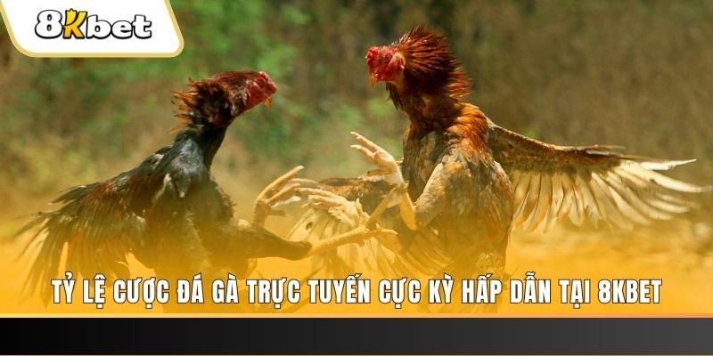 f8 bet xổ số miền bắc chủ nhật