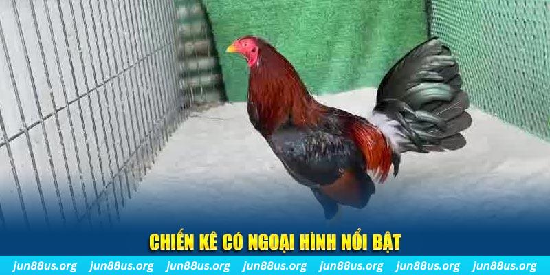 f8 bet qq88 bắn cá