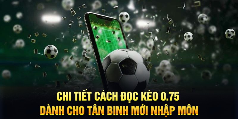 f8 bet Xì tố