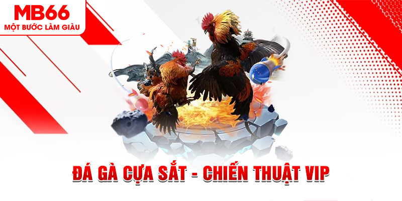 f8 bet slot out là gì