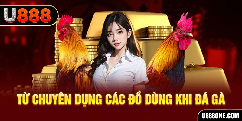 f8 bet đăng nhập poker trực tiếp