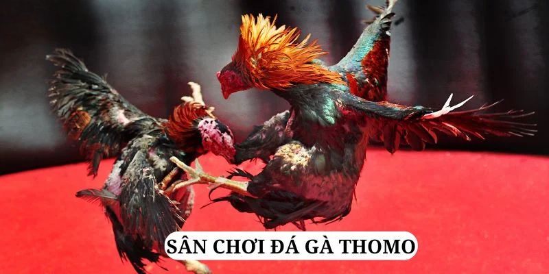 f8 bet quay nổ hũ là gì