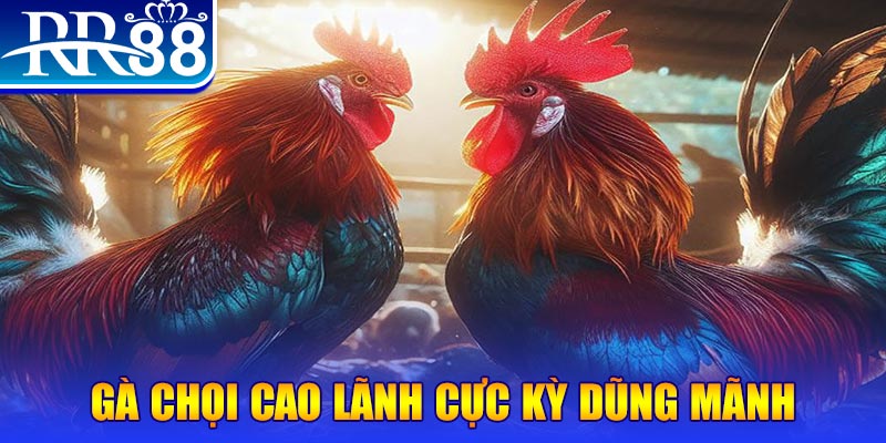 f8 bet đăng nhập poker live